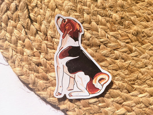 Beagle Dog Sticker