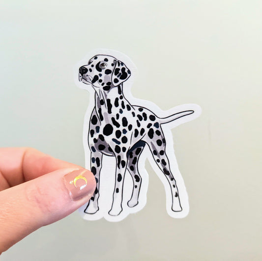 Dalmatian Dog Sticker