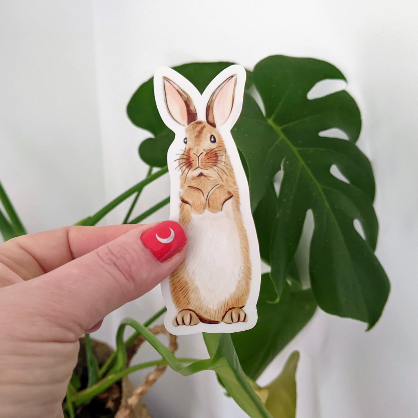 Transparent Bunny Sticker